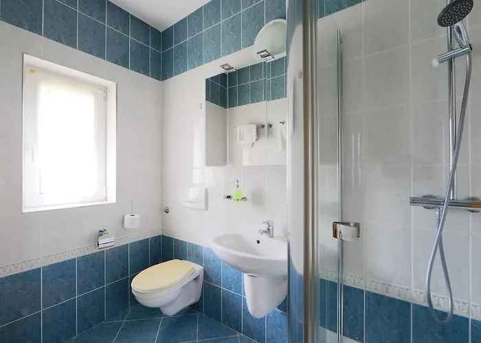 Balazs バラトンフレド